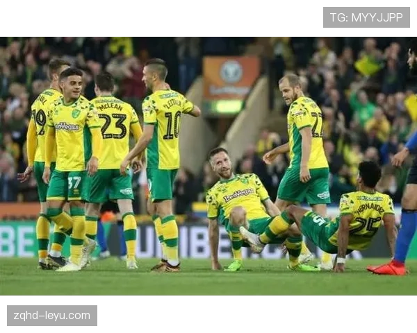 诺维奇重整旗鼓:降级后新赛季战略调整与关键举措引关注 诺维奇重整旗鼓:降级后新赛季战略调整与关键举措引关注