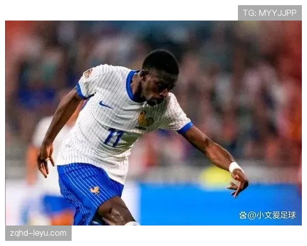 法国队高卢雄鸡再展锋芒，剑指欧洲杯荣耀