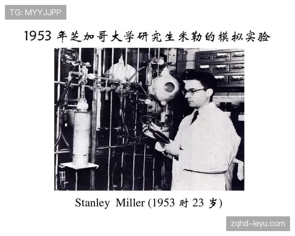 卡马文加持续进化，崛起为现代足球战术体系中的关键力量