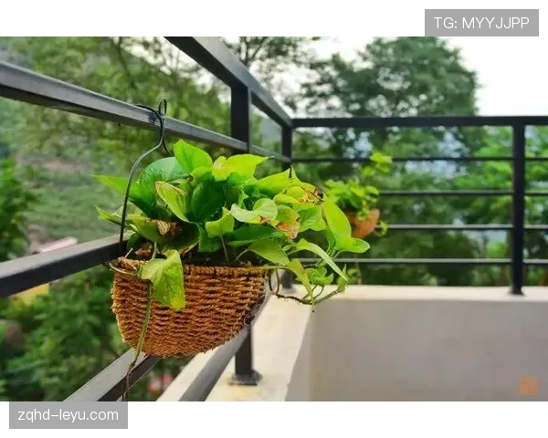 常园这生活真是活成了富豪家的慵懒日常，谁跟他抢都抢不过那种佛系奢华感