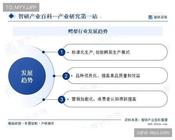 多萨里进攻影响力持续提升的关键驱动因素解析